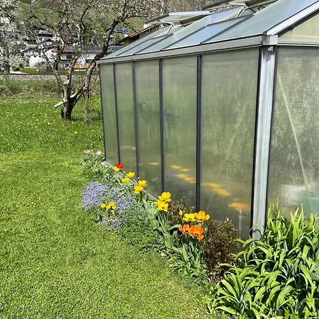 Διαμέρισμα Ahammer